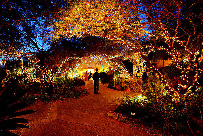 Holiday lights at Tohono Chul Park 1